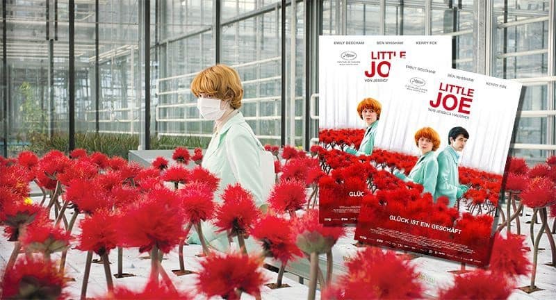 Little Joe – Glück ist ein Geschäft Gewinnspiel