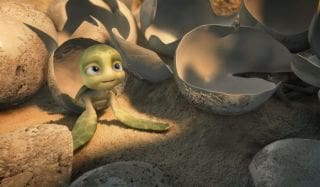 sammyspecial1 sammyspecial1