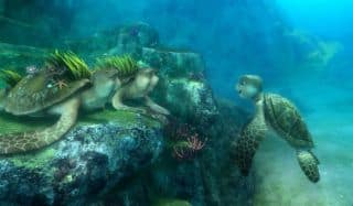 sammyspecial3 sammyspecial3