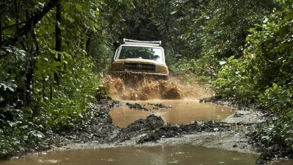 schimpansenfunfacts3