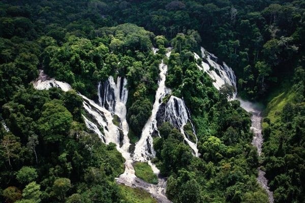 schimpansenfunfacts4