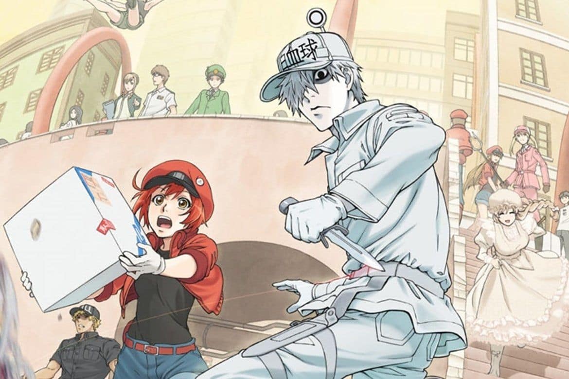 Cells at Work